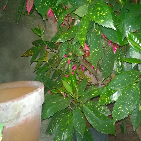 Apartman Relais Ai Campi *