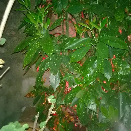 Relais Ai Campi Apartman Bellagio