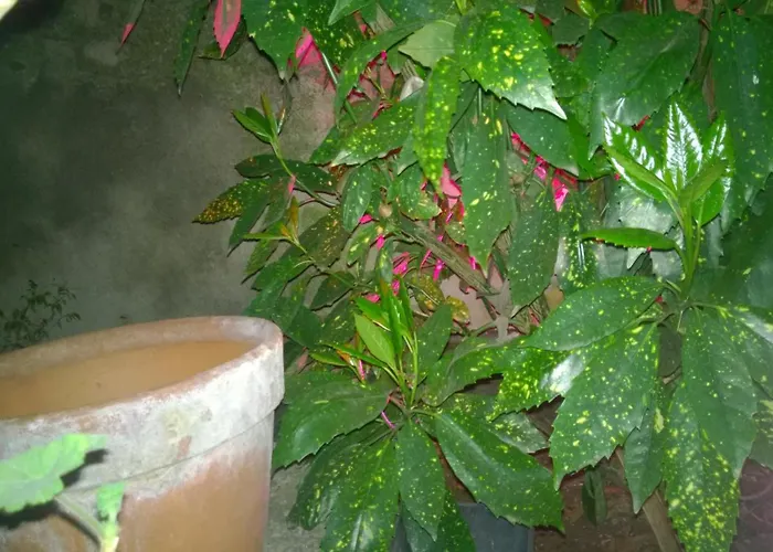 דירה Relais Ai Campi *