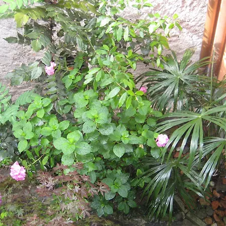 Relais Ai Campi Apartment